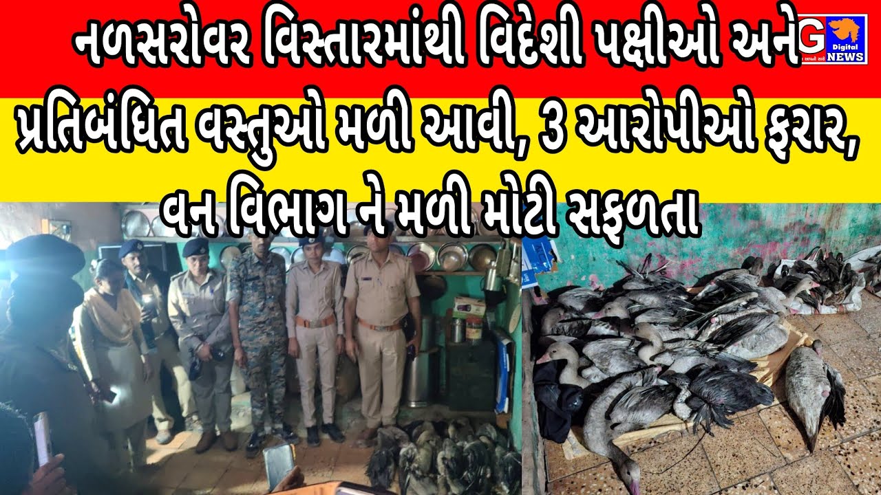 Viramgam પક્ષી અભ્યારણ્ય નળસરોવર માથી રહેણાંક મકાન માથી વિદેશી પક્ષીઓ અને પ્રતિબંધિત મળી આવી,આરોપી 