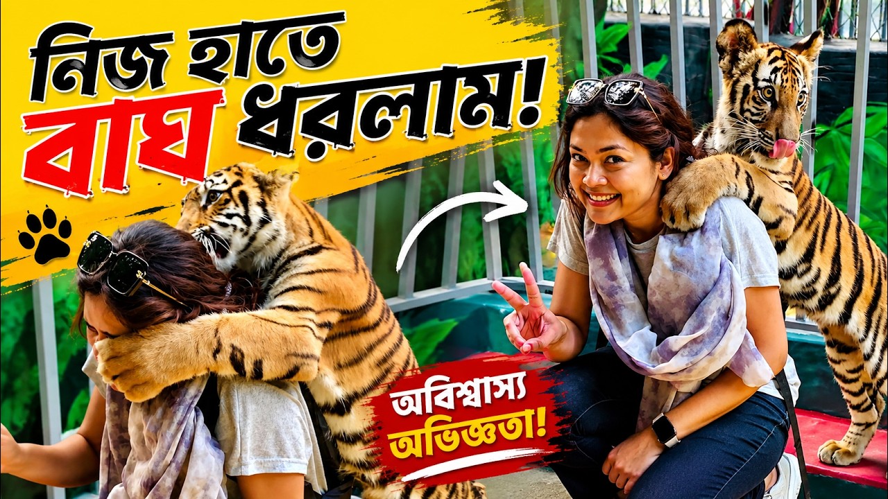 চট্টগ্রাম চিড়িয়াখানার বাঘ শাবক জো বাইডেন || Tiger Cub Joe || Chittagong Zoo || নিজ হাতে বাঘ ধরলাম