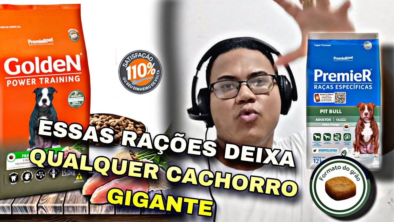 RAÇÃO GOLDEN POWER TRAINING E PREMIER PITBULL QUAL A MELHOR?