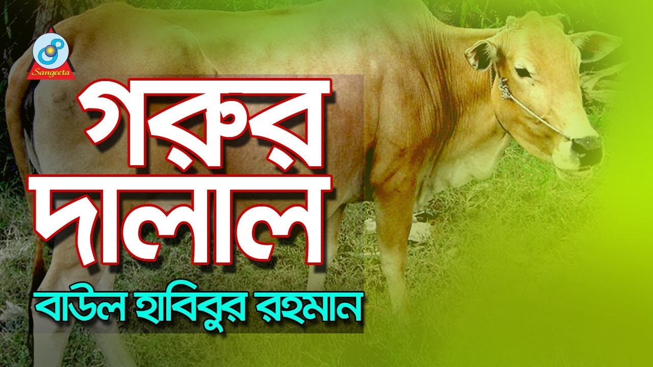 Gorur Dalal | গরুর দালাল | Baul Habibur Rahman | Baul Gaan | Sangeeta