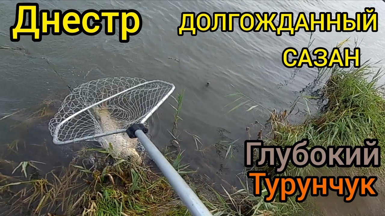 Днестр.Ждали хорошего клева,а дождались урагана.Лещ и долгожданный сазан#рыбалка2023 #днестр #сазан