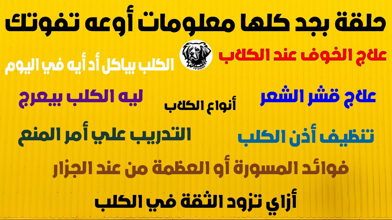 علاج الخوف عند الكلاب/علاج قشر الشعر عند الكلاب/الكلب بياكل اد ايه/طريقةزيادة الثقةللكلب مع سامرغازي