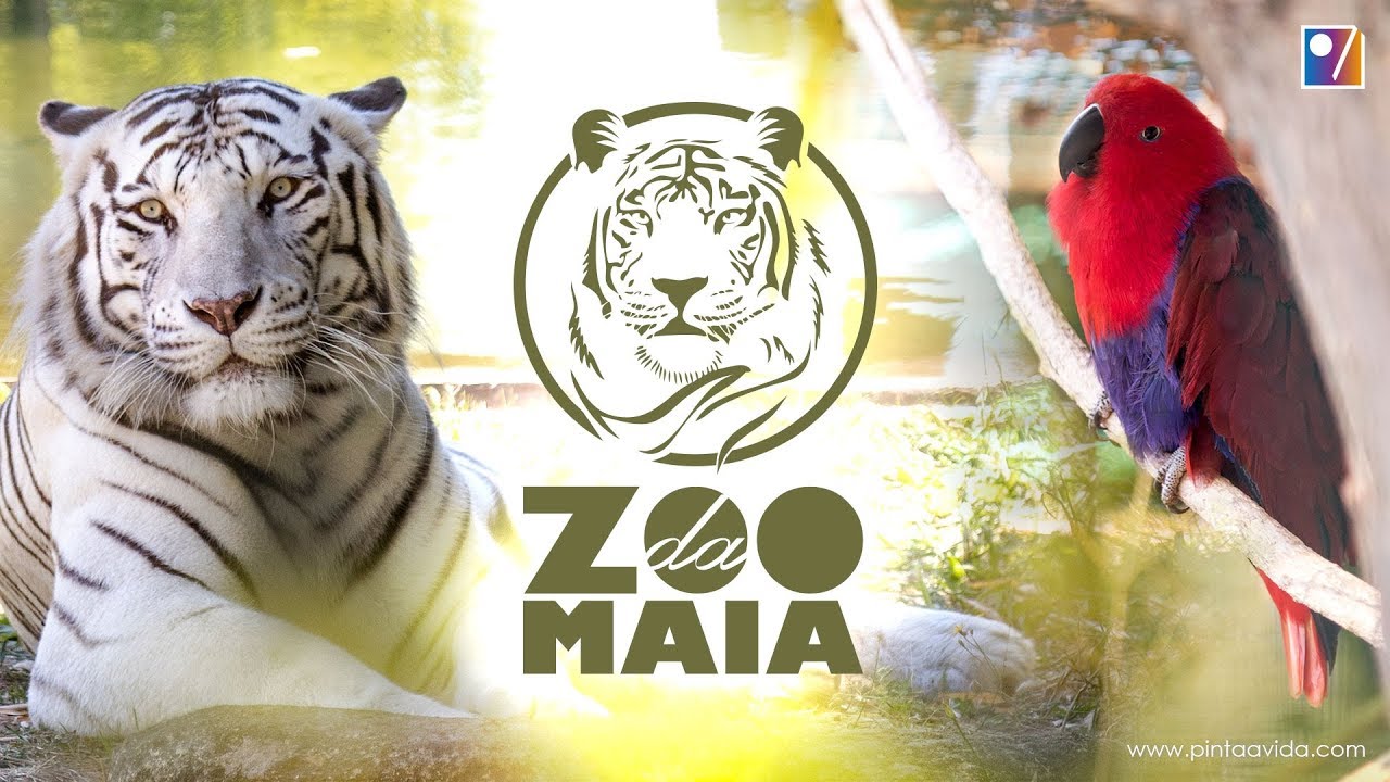 Zoo da Maia