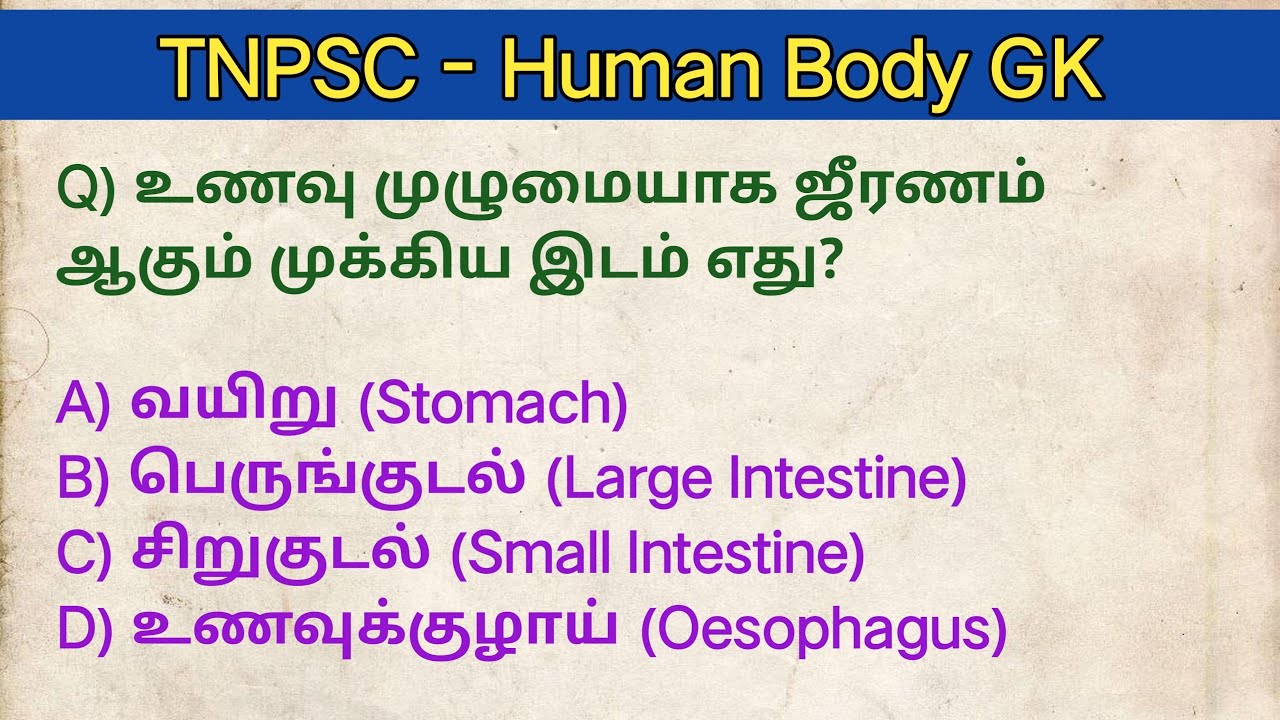 உடல் நலம் குறித்த முக்கிய தகவல்கள்|Human Body GK Tamil|Body Facts|Tamil GK|Daily GK|Health Awareness