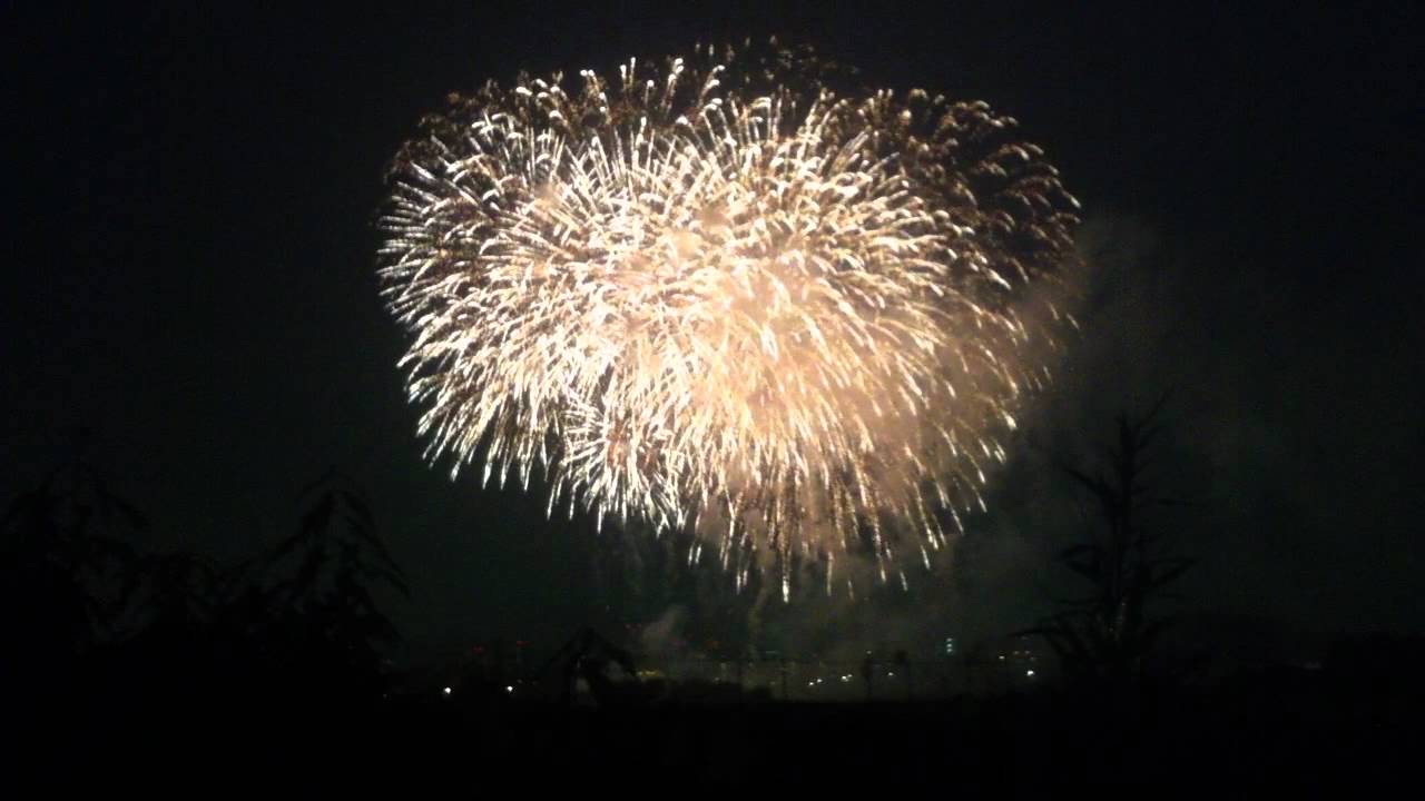 大宮花火大会2011年/フィナーレの花火