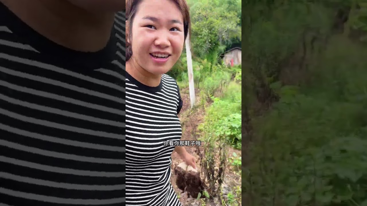 幺爸一天都往坡上跑，是不是因为对面农户家放音乐很吸引他哟？从我们记事起，幺爸就喜欢听歌#顺心幺爸 #守村人 #我的乡村生活 #vlog日常