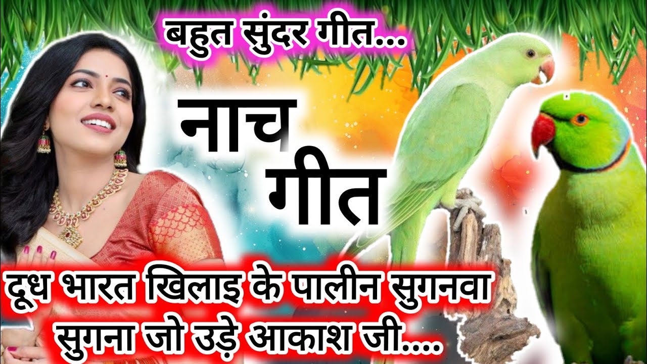 नाच गीत| दूध भारत खिलाइ के पालीन सुगनवा सुगना जो उड़े आकाश जी| #nachgeet| dehati Nach geet|| 