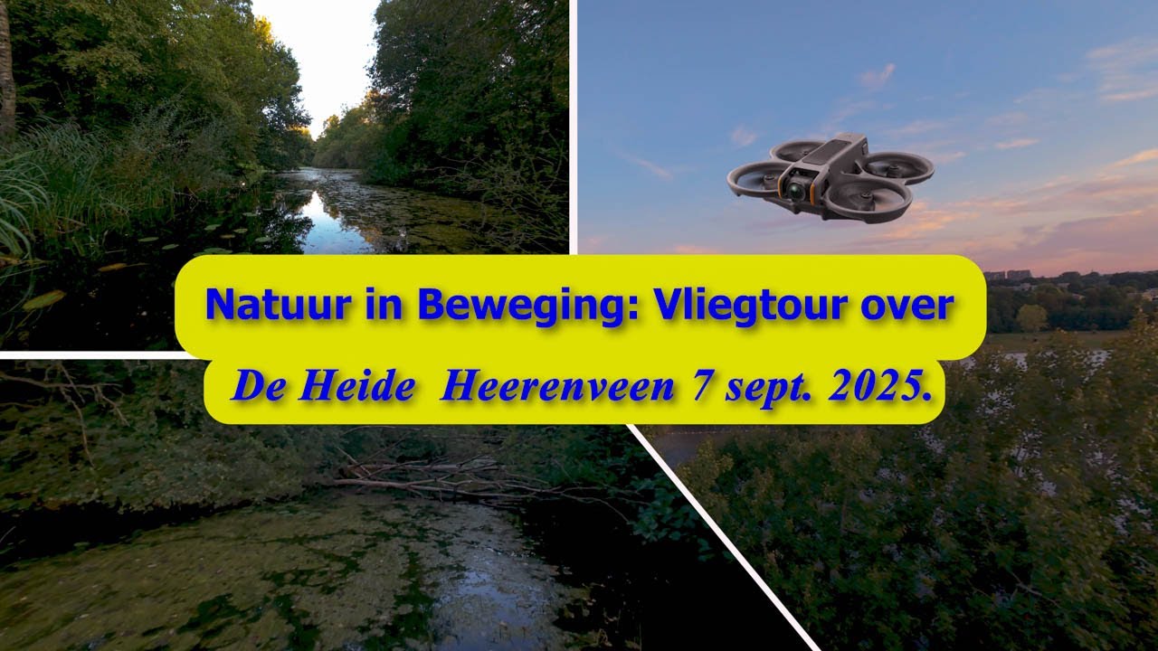 DJI Avata 2 | Natuur in Beweging | Vliegtour over De Heide in Heerenveen | 7 sept  2025.