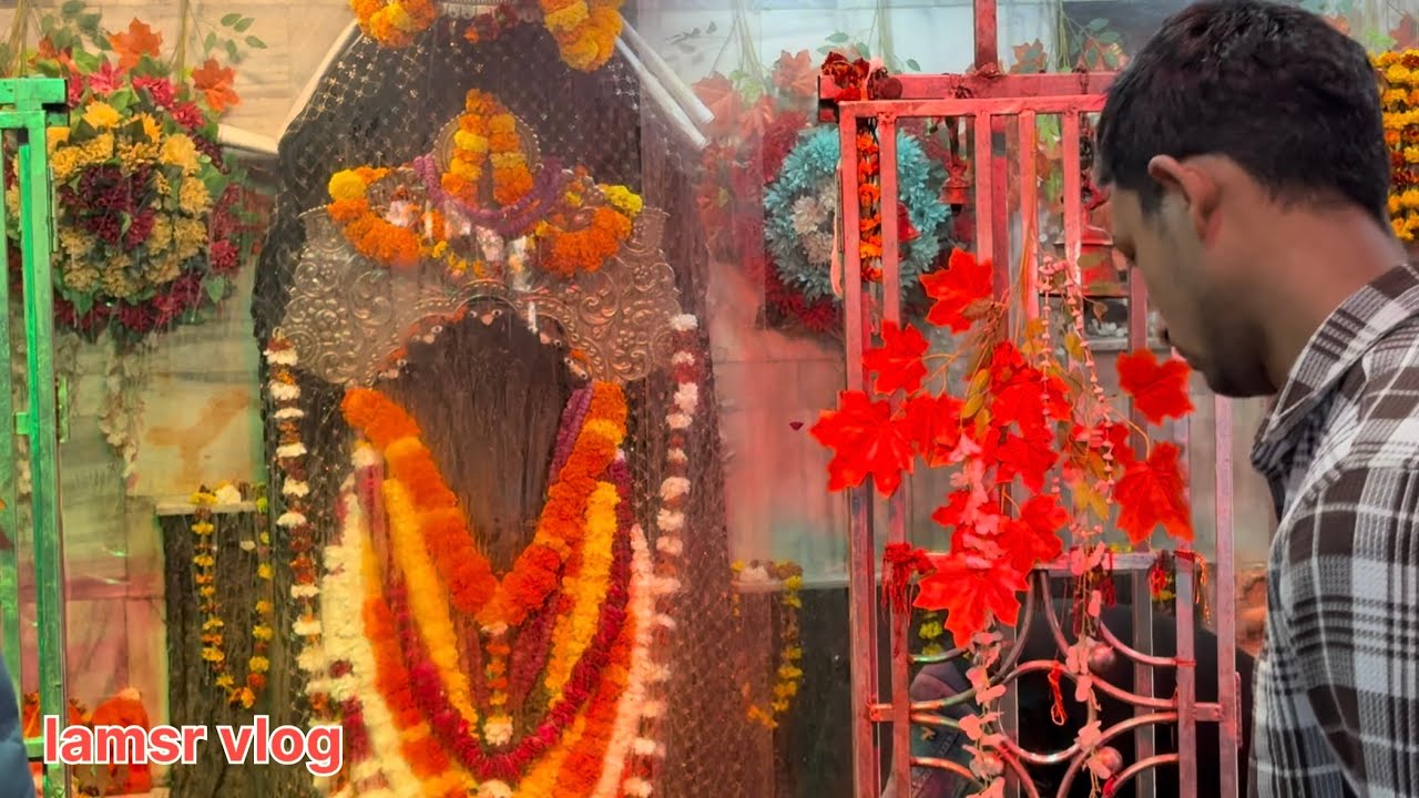 Shri Nagvasuki Mandir Prayagraj 🐍 #harharmahadev #mahashivratri #minivlog 