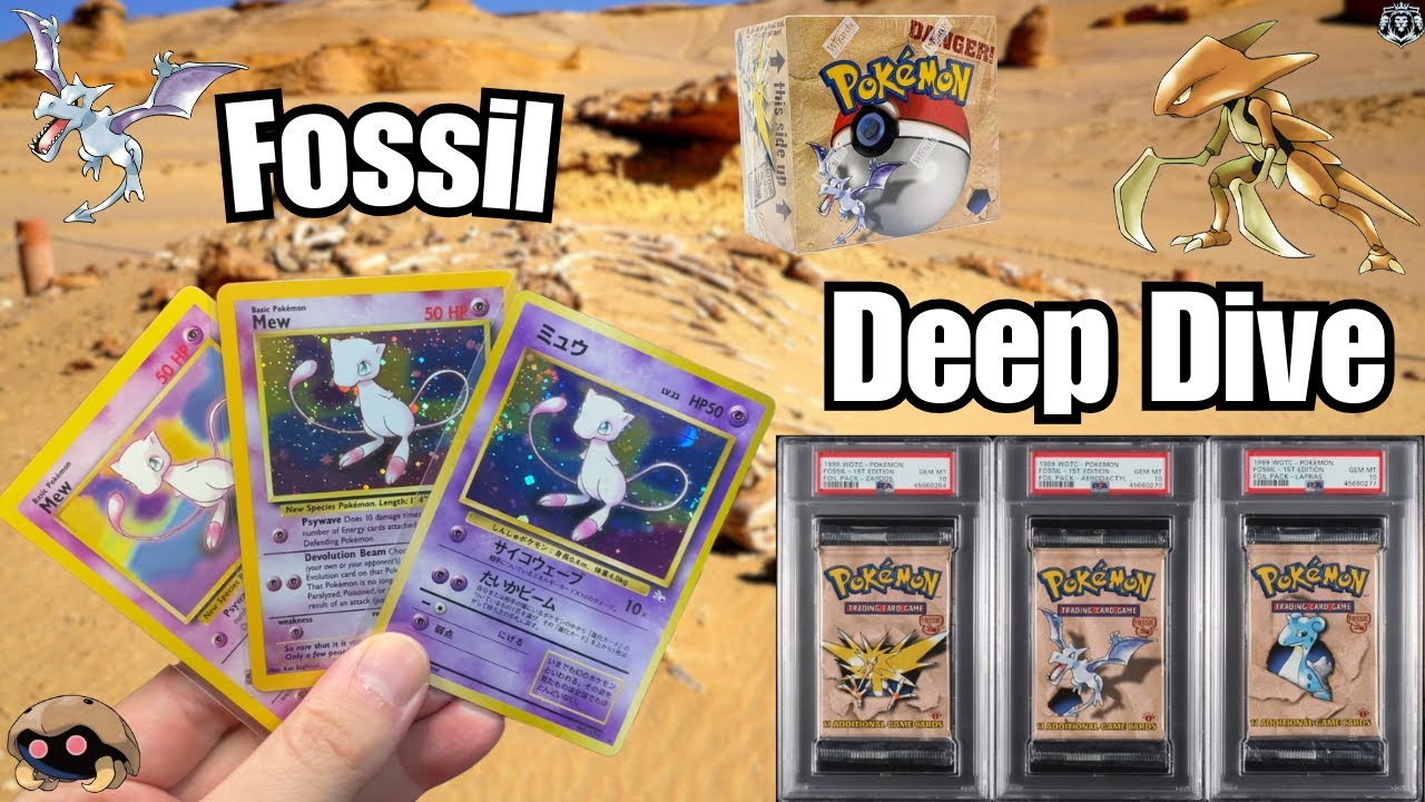 A Comprehensive Guide To All Things: Fossil
