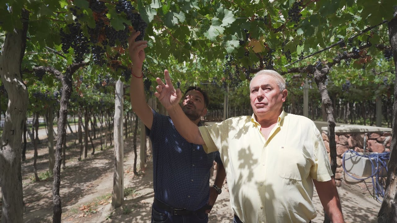 Bodega Jean Bousquet |AE news!