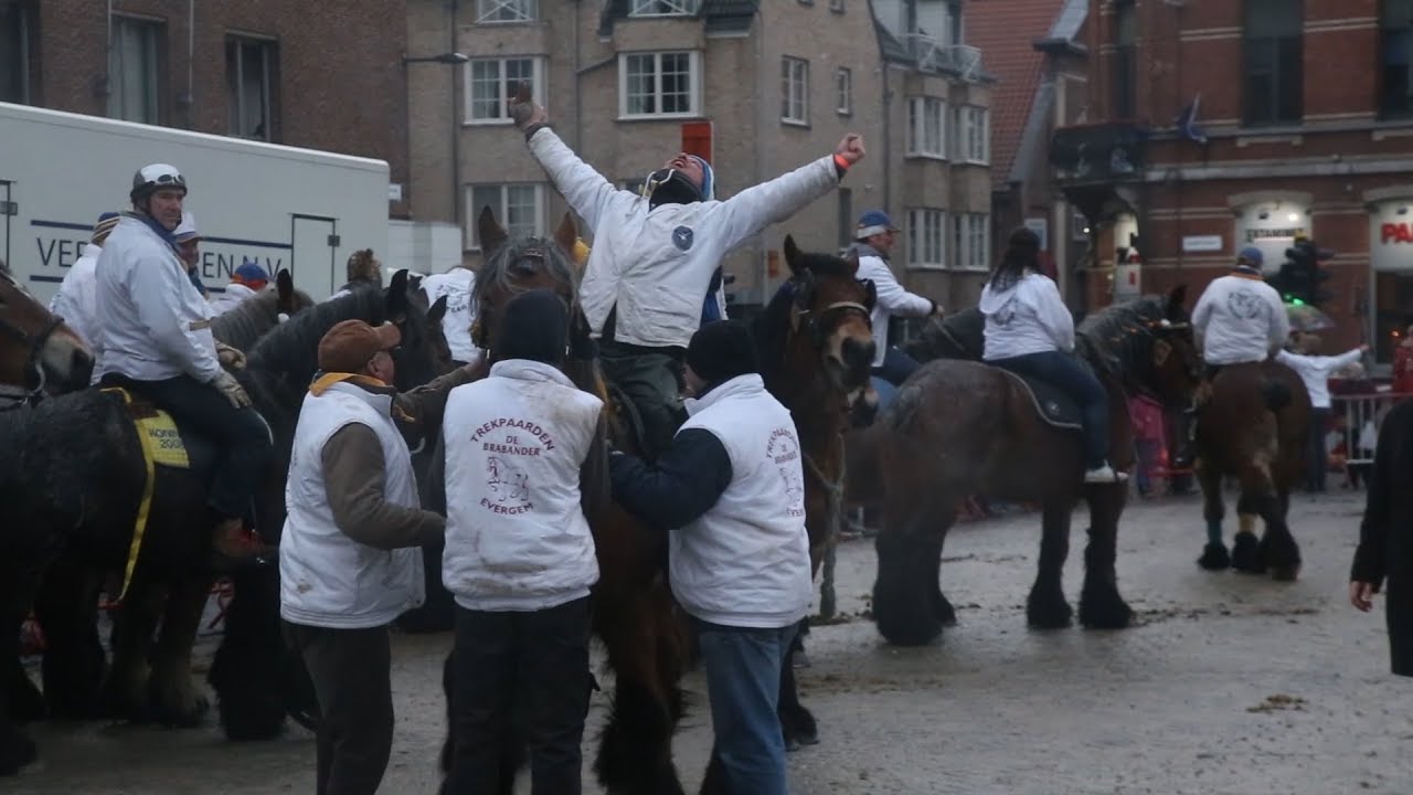Gansrijden Ekeren 2016