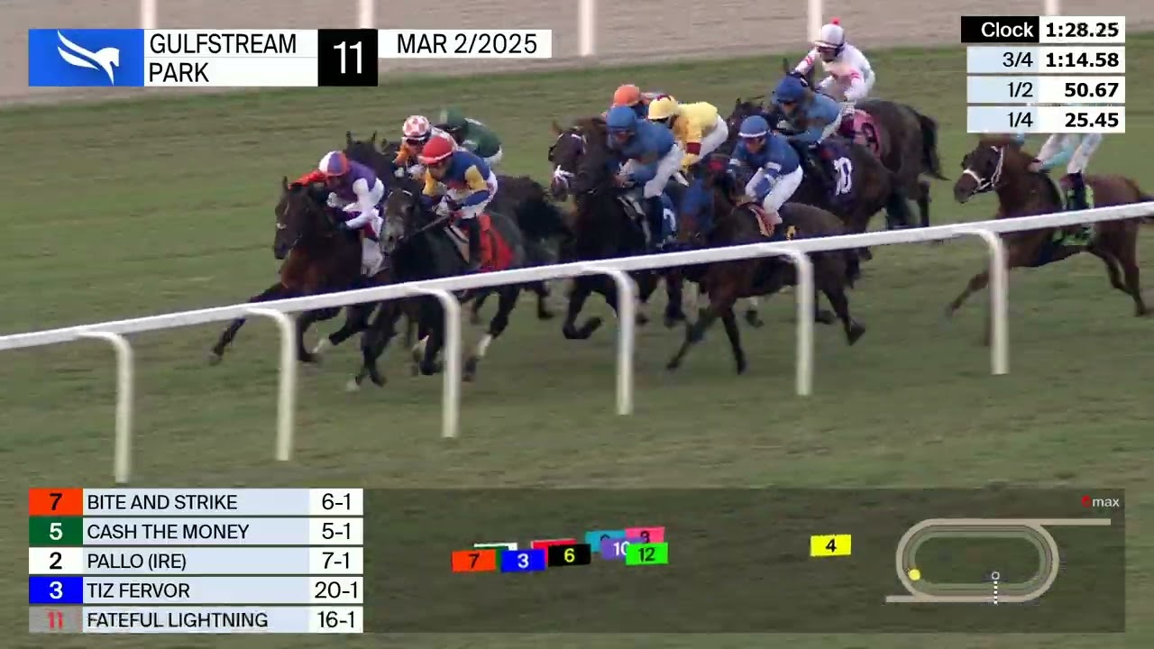 Gulfstream Park March 2, 2025 Race 11