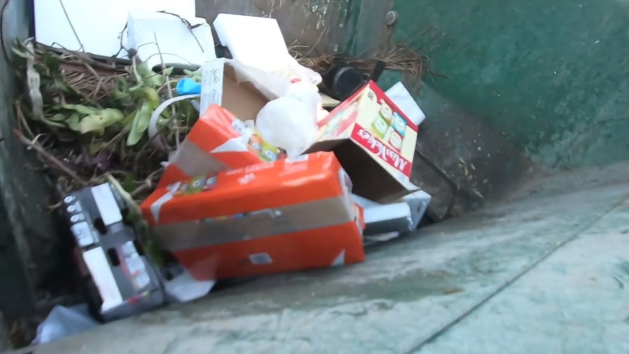 Labrie Automizer Garbage Truck Hopper View pt3