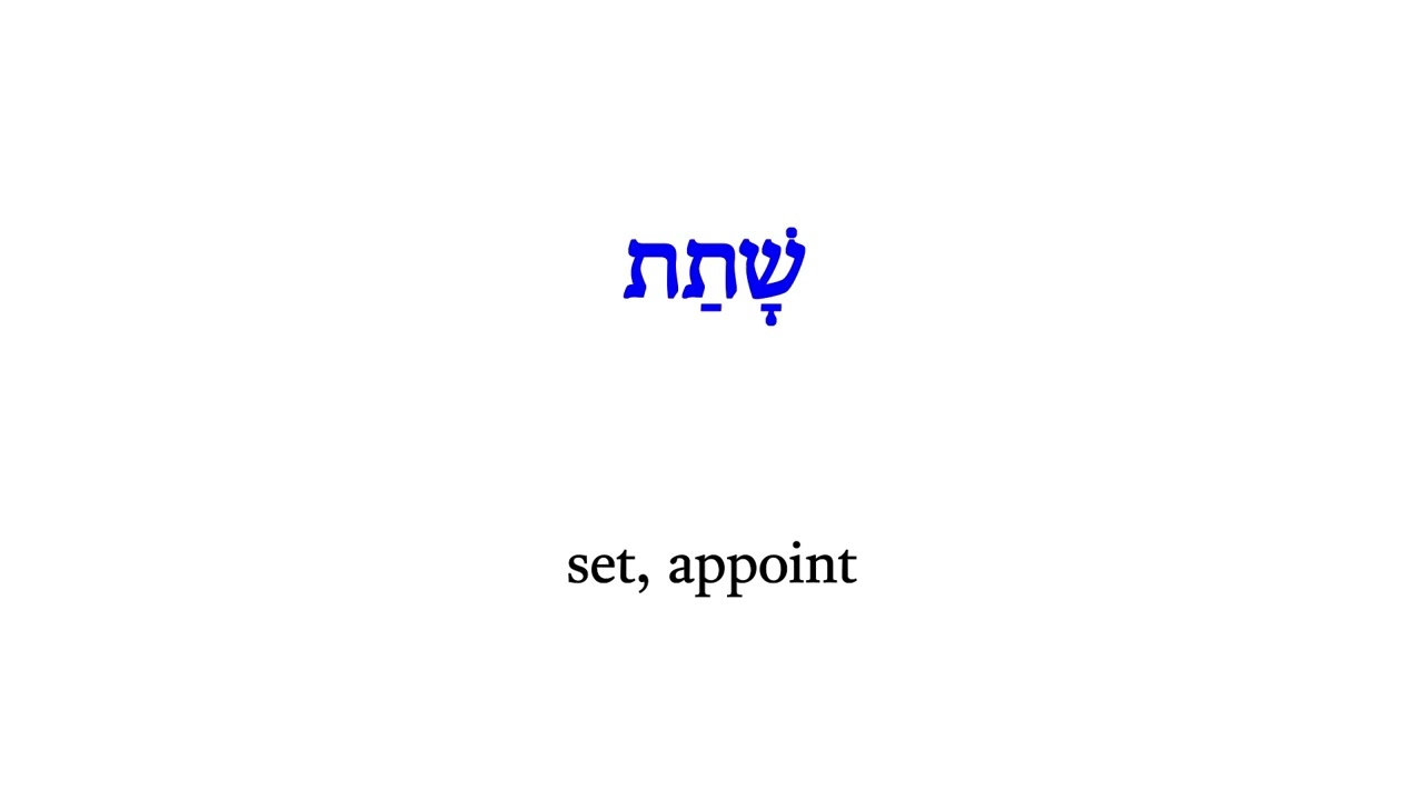 H8371 שָׁתַת