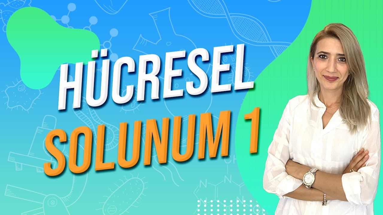 HÜCRESEL SOLUNUM 1| Seda Hoca Biyoloji 🧬 #ayt2024