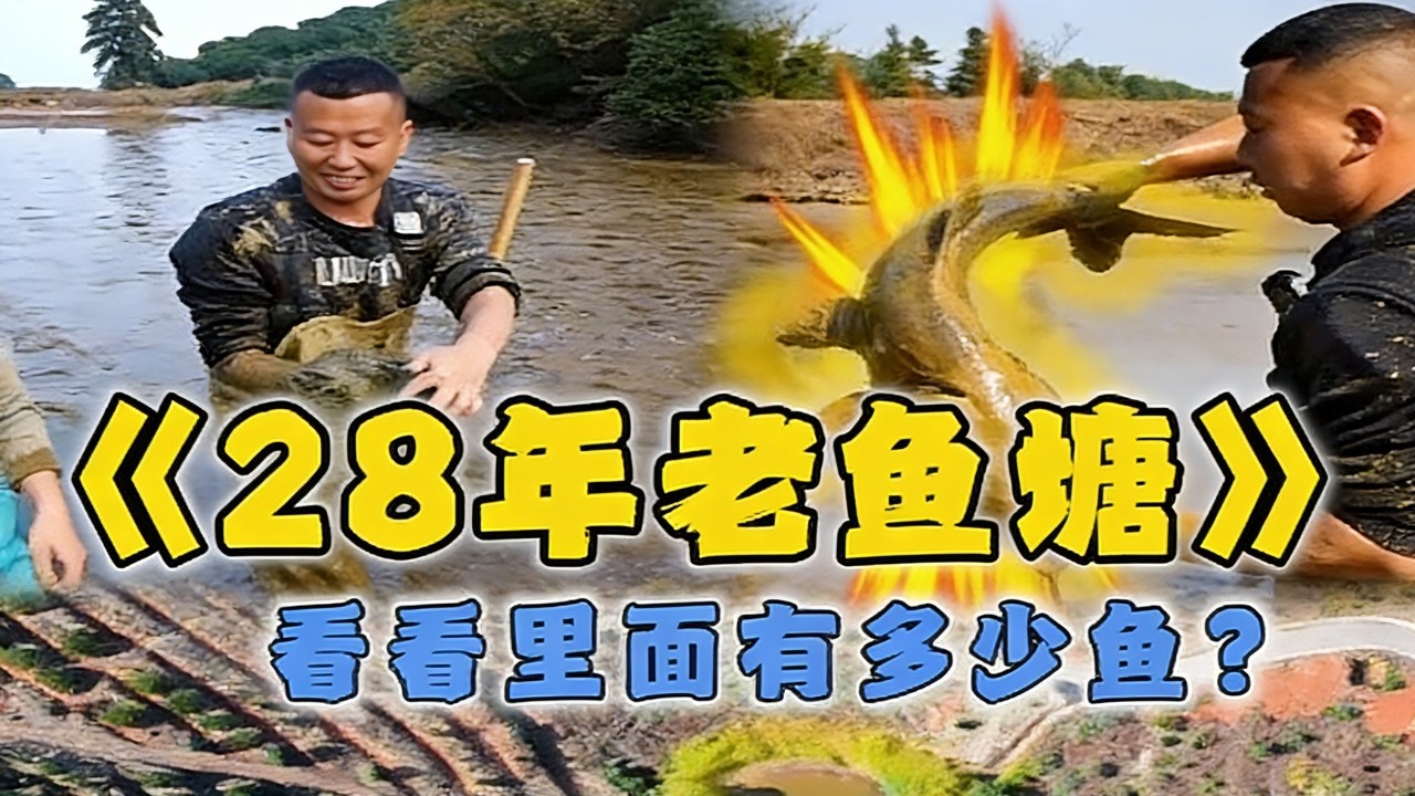 花5500包下一口28年沒乾過的老魚塘，看看裡面的魚有多大...#戶外 #魚塘 #抓魚 #甲魚 #fishing