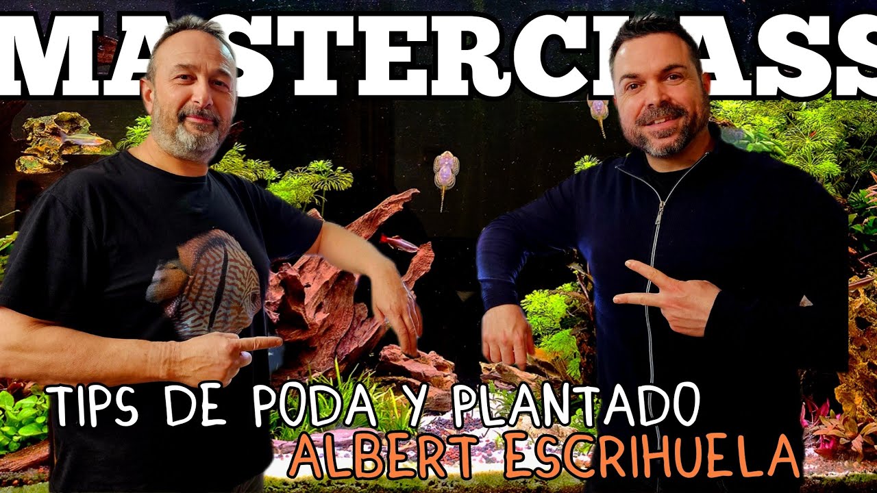 POSIBLEMENTE EL MAYOR RESTYLING EN UN ACUARIO PLANTADO | By ALBERT de NASCAPERS