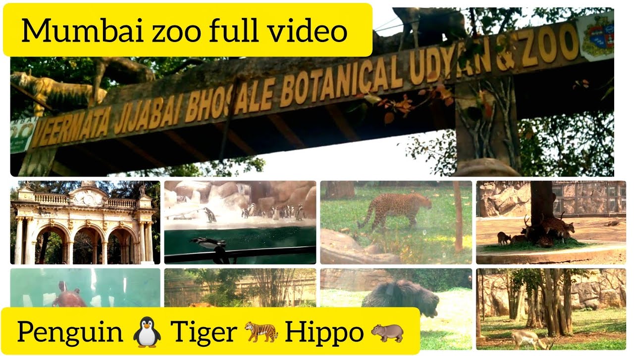 Byculla Zoo Mumbai Full Tour | Penguin, Tiger, Hippo & #Botanical Garden #Veermata Jijabai Zoo Vlog