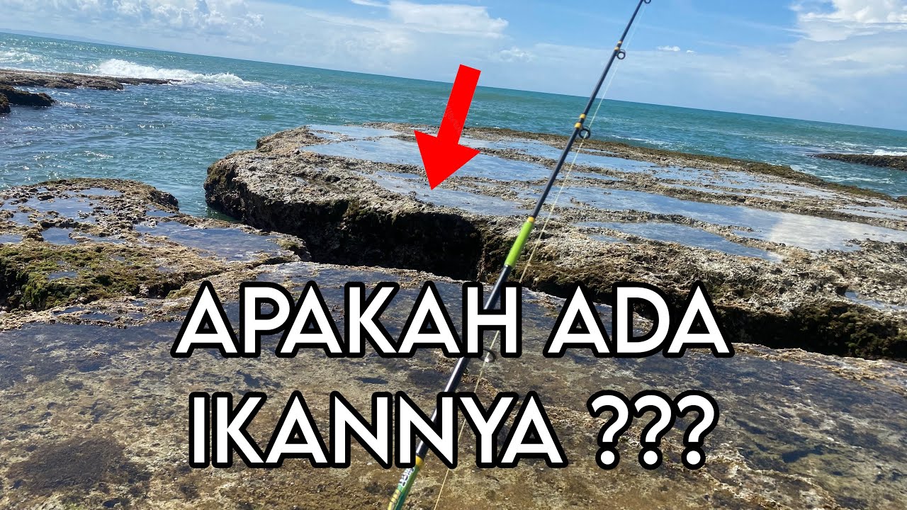 HUNTING IKAN KARANG UNTUK DIHIDUPKAN, PANTAI SAWARNA