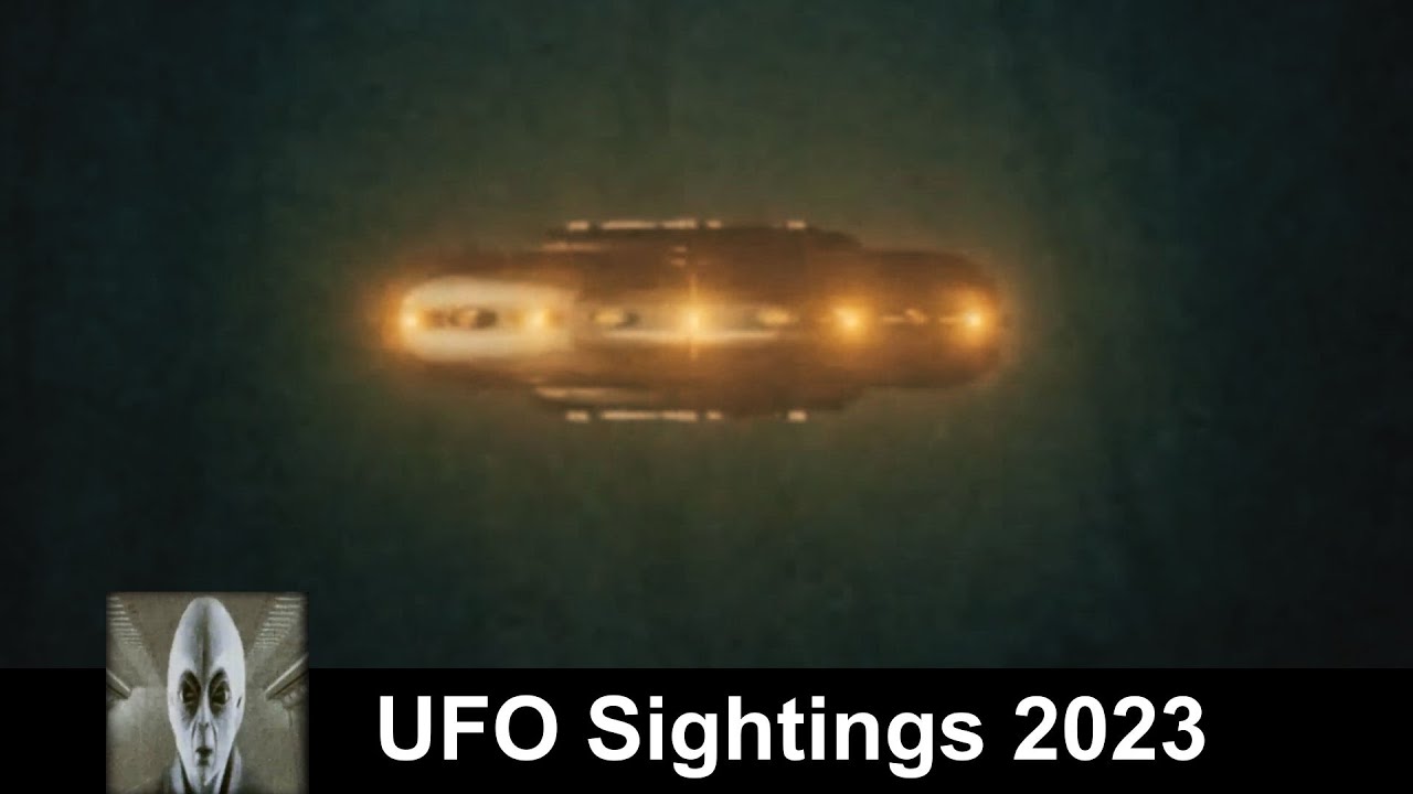 UFO In The Woods
