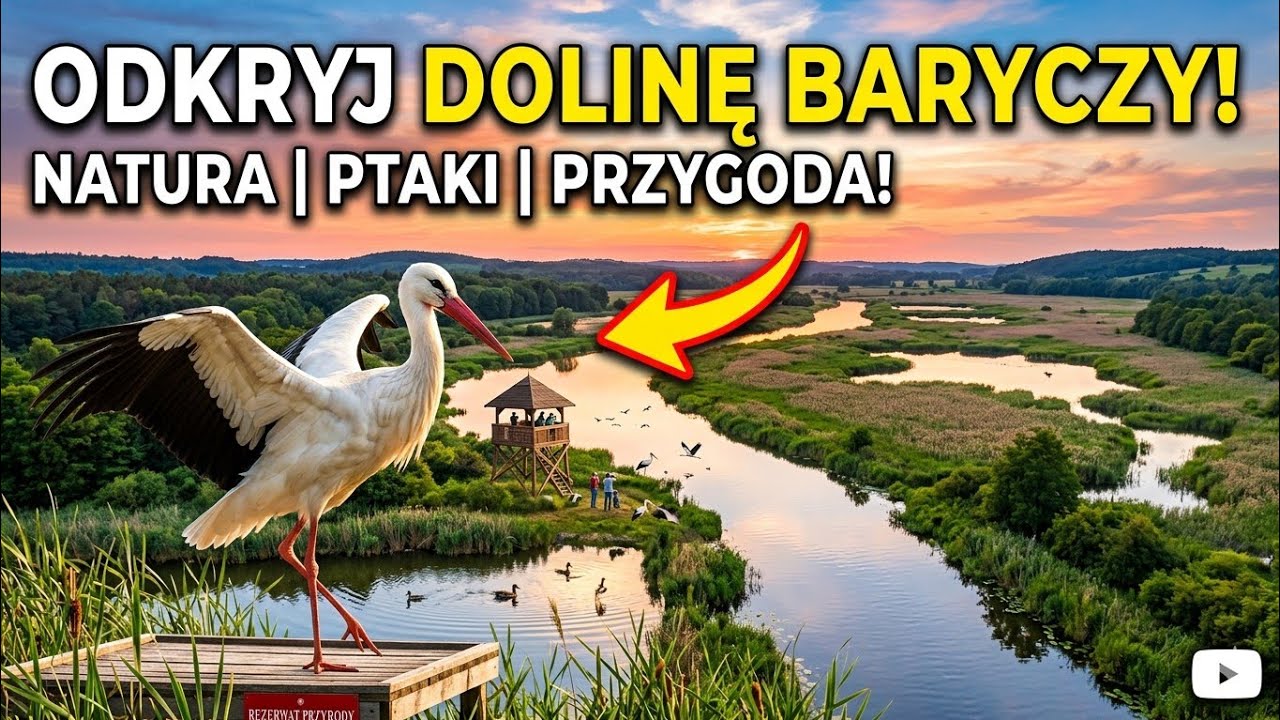 Откройте для себя долину Барыч | Милицкие пруды | Польша | Дрон | 4к