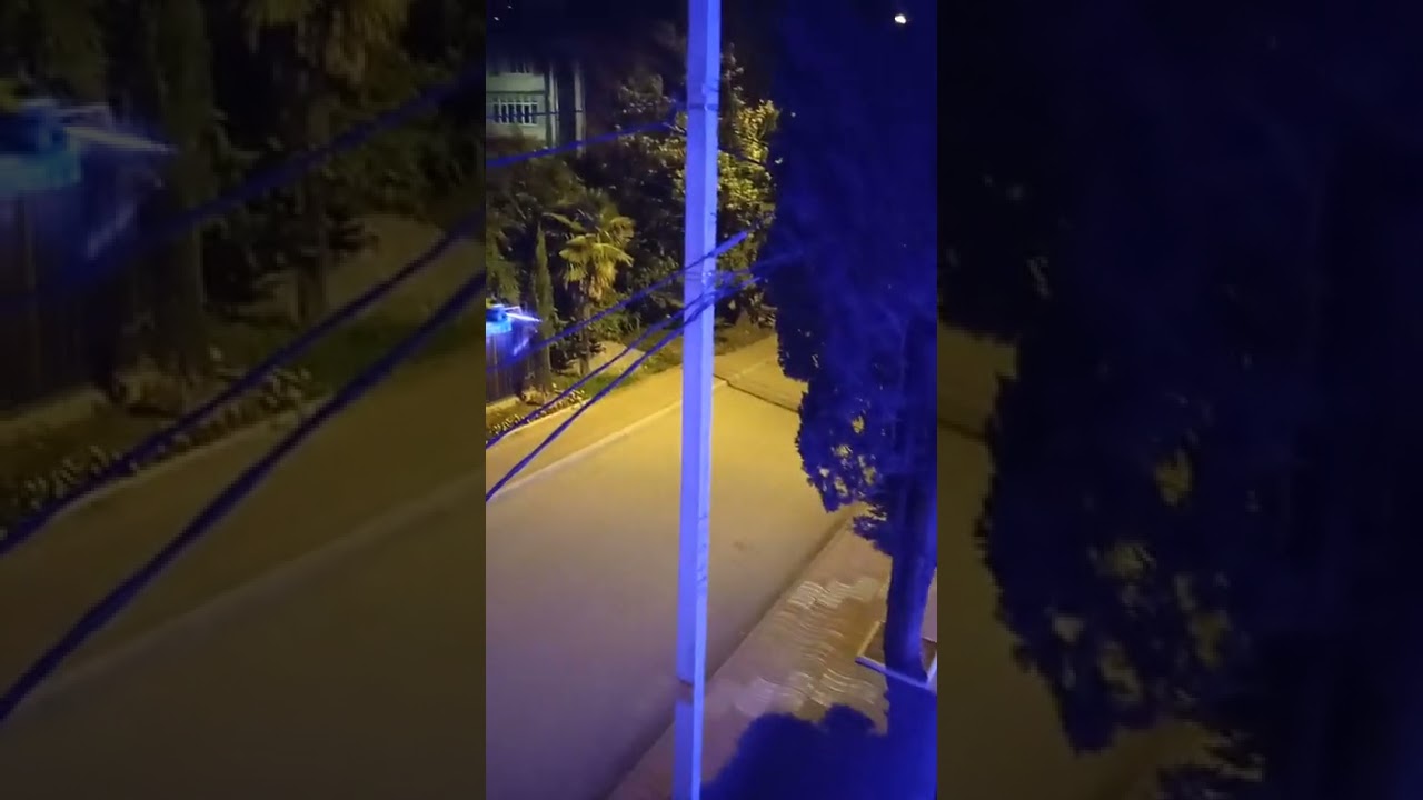 VID 20210824 011509