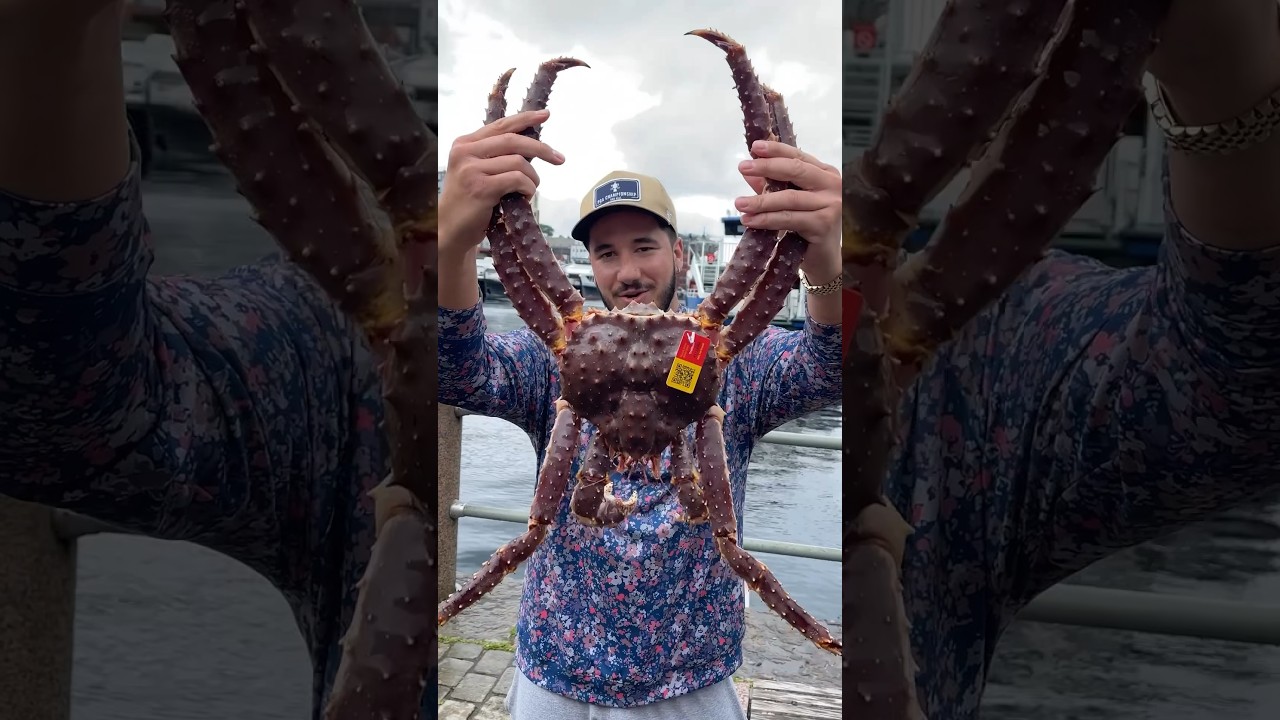 GIANT King Crab in Norway