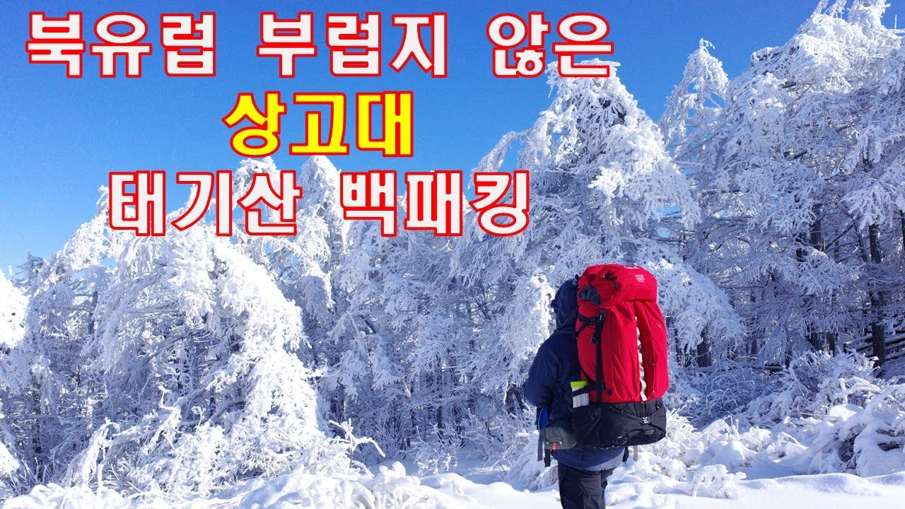 [산림청 100대 명산] 겨울에 꼭 가야하는 상고대 등산 태기산 백패킹