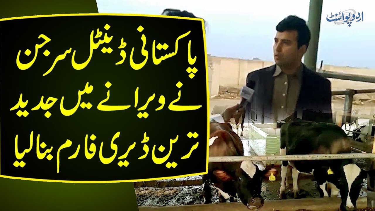 What Is The Cost Of Running A Farm & How To Run It? | ‘Dunyapur’- A Farm With All Facilities