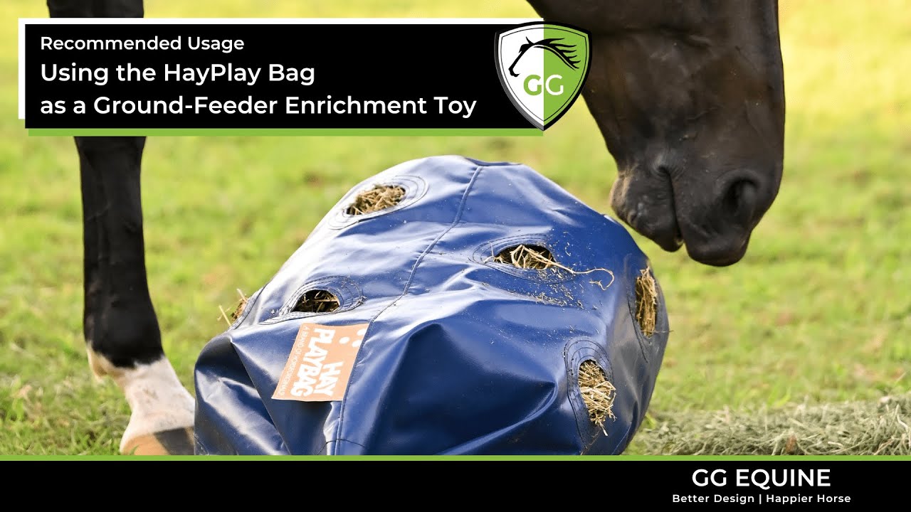 How to use the HayPlay Bag as an Enrichment Toy for Horses