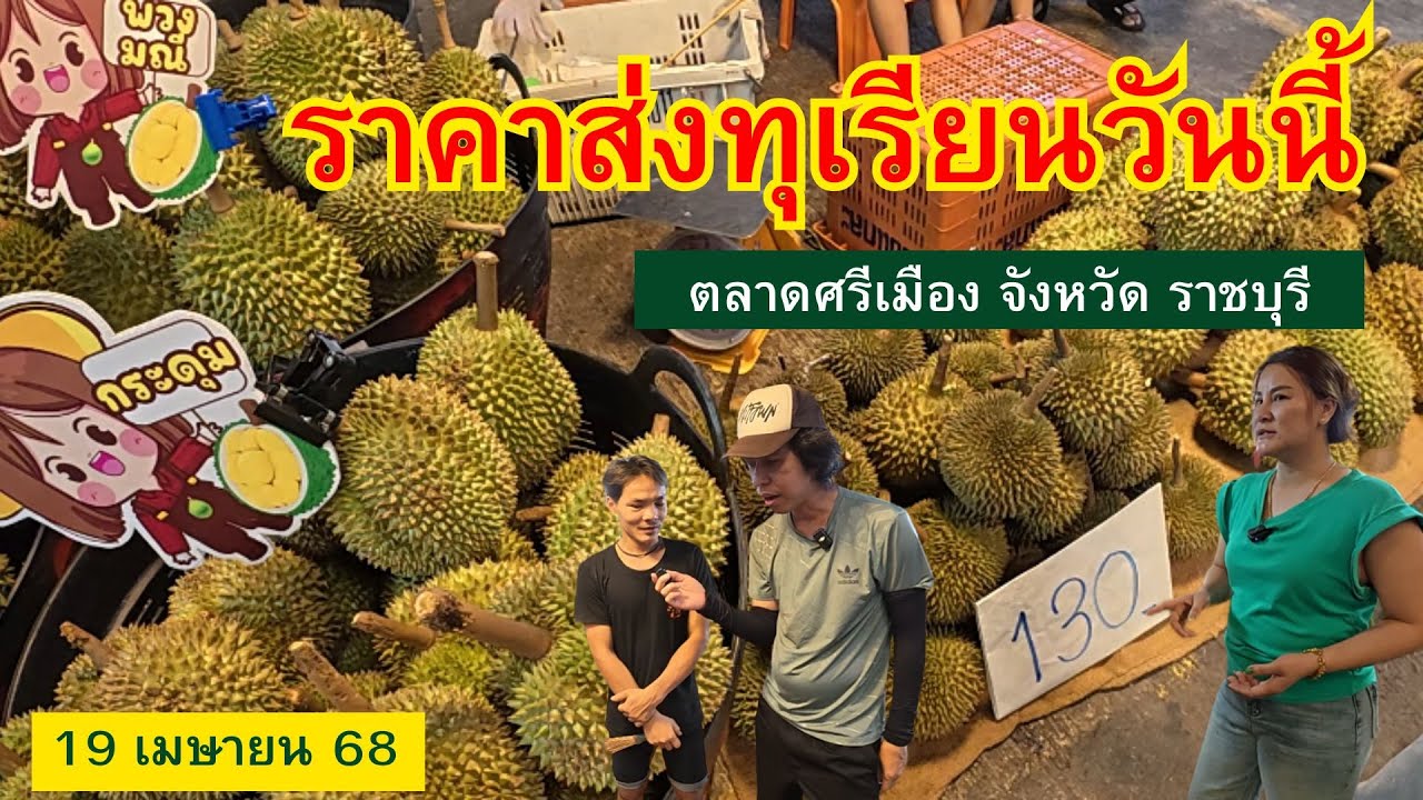 ราคาส่งทุเรียนวันนี้ ตลาดศรีเมือง จังหวัดราชบุรี #ราคาทุเรียนวันนี้ #ราคาส่งทุเรียนวันนี้