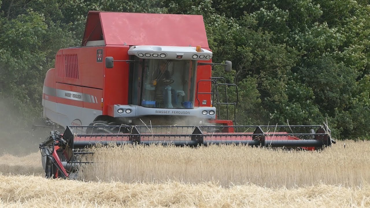 Massey Ferguson 7282 Working Hard in The Field Harvesting Crops | Harvest 2018 | Danish Agriculture