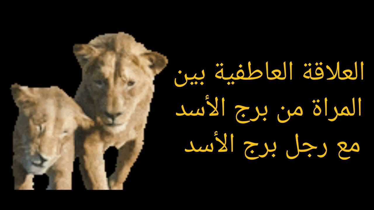 التوافق العاطفي بين المرأة الأسد والرجل الأسد !! علاقة نارية ام تحد مستمر ؟