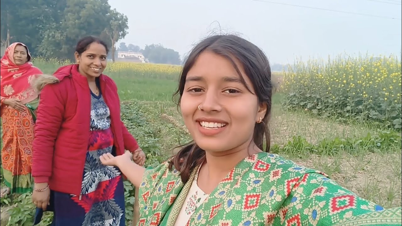 Doston humne Apne khet Se khodi Kai sari aalu #villagelife #vlog #natural #masti 