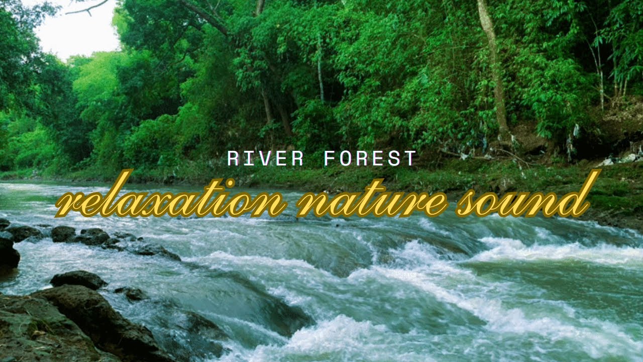 Strong River Stream ASMR | Instant Calm & Mental Reset
