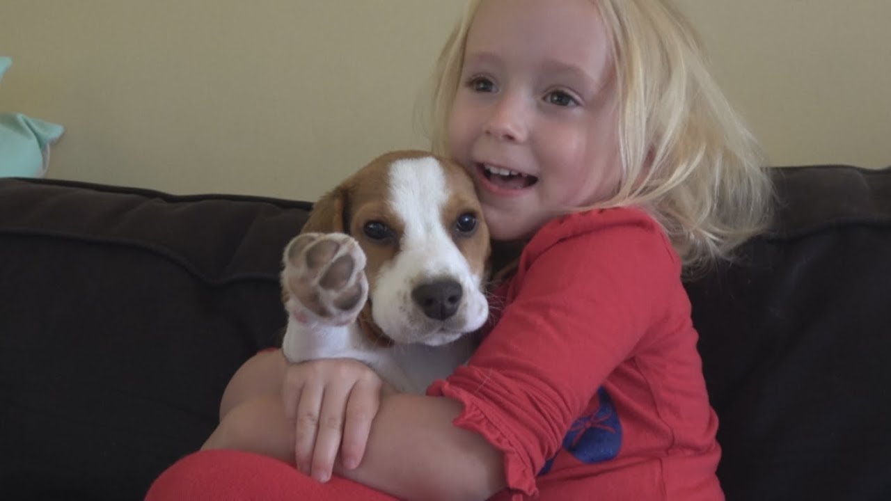 Puppy life is better with a child | Growing up with puppy
