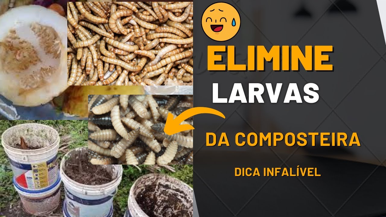 Larvas na sua composteira? Saiba com Resolver !