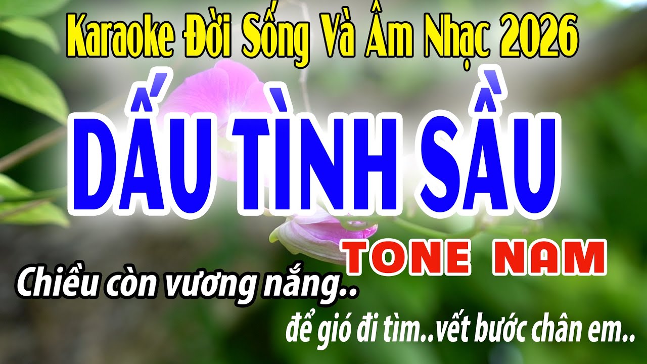 Dấu Tình Sầu - karaoke Tone Nam ( Am ) Đời Sống Và Âm Nhạc - Beat Phối Mới Dễ Hát