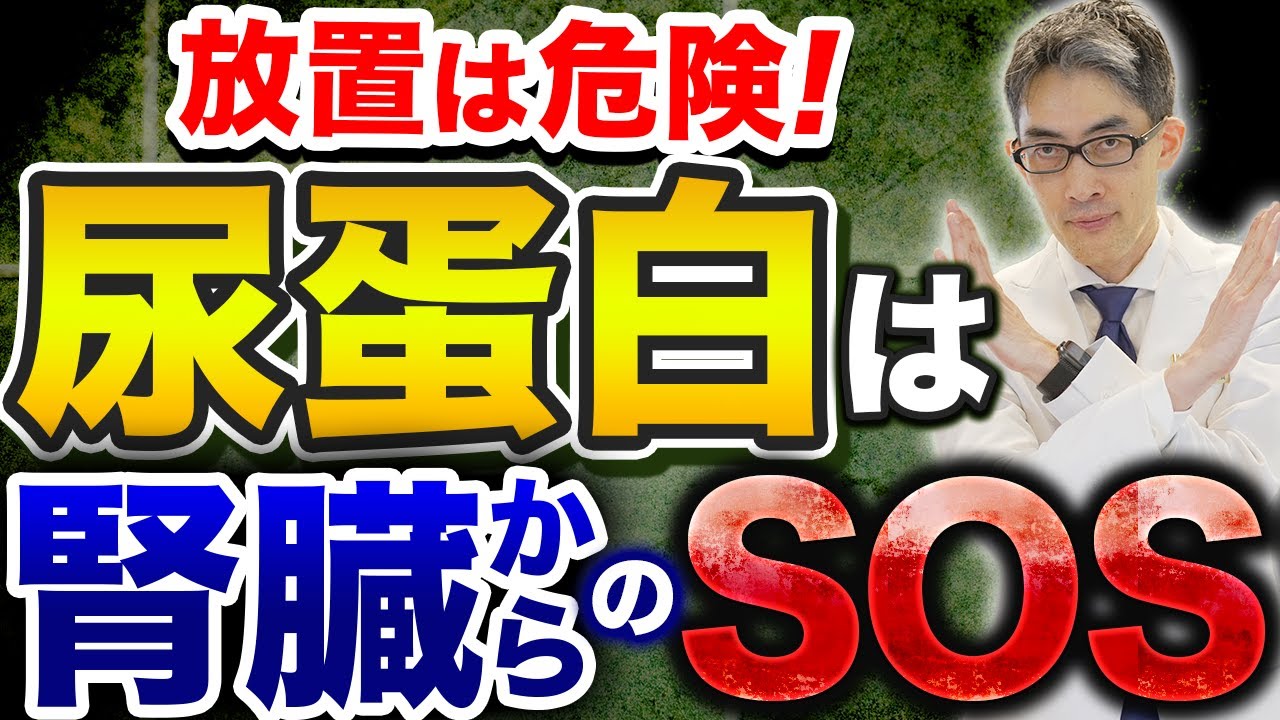 【放置厳禁】尿蛋白（尿たんぱく）は腎臓からの危険サイン！