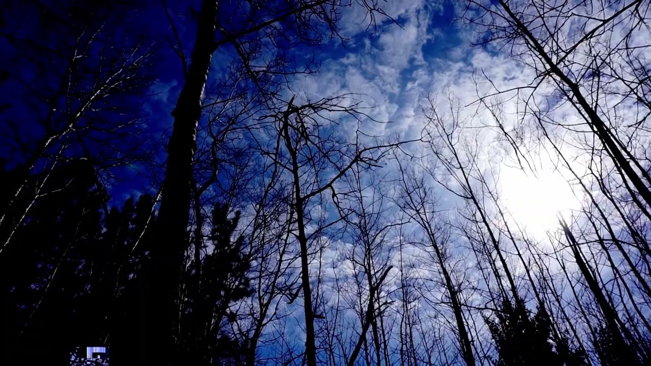 Crescent Moon Music Video
