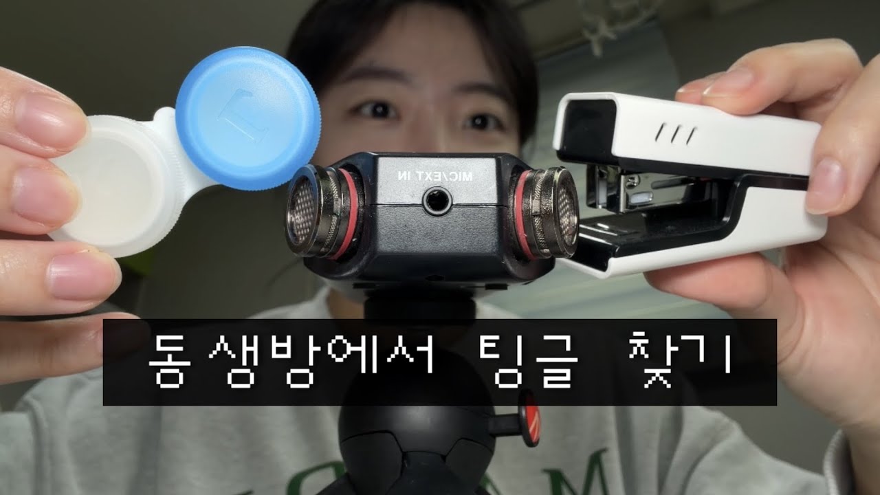 ASMR 동생집에서 팅글 찾기🔎 (과연 찾았을까요?)