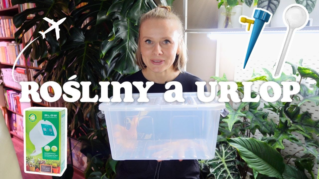 ROŚLINY A URLOP ☀️ / Jak przygotować rośliny na urlop lub dłuższy wyjazd? / Porady i wskazówki