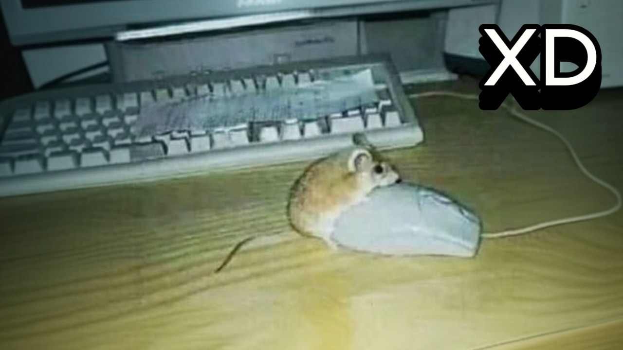 SI TE RÍES PIERDES NIVEL EXTREMO 😂🔥 | NIVEL ULTRA IMPOSIBLE