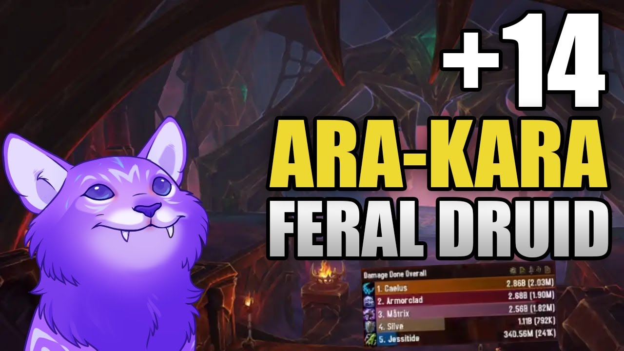 Ara-Kara +14 | Feral Druid POV | TWW Season 1