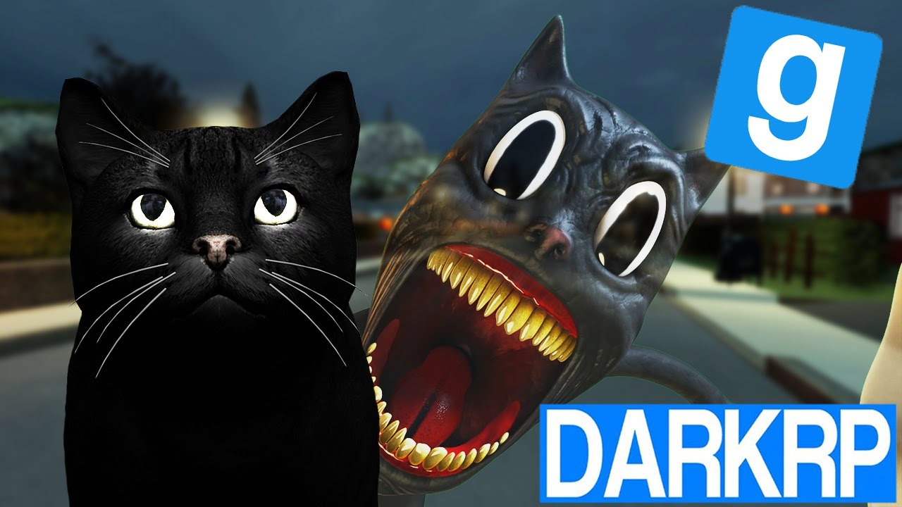 CE CHAT EST CARTOON CAT !! Garry's Mod DarkRP