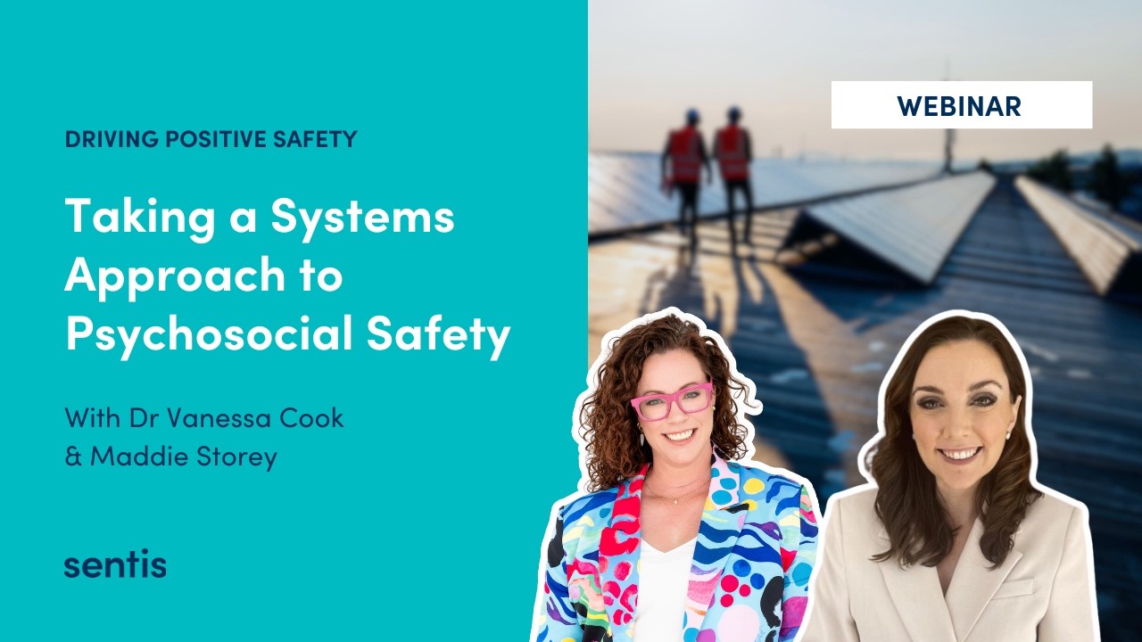 Taking a Systems Approach to Psychosocial Safety
