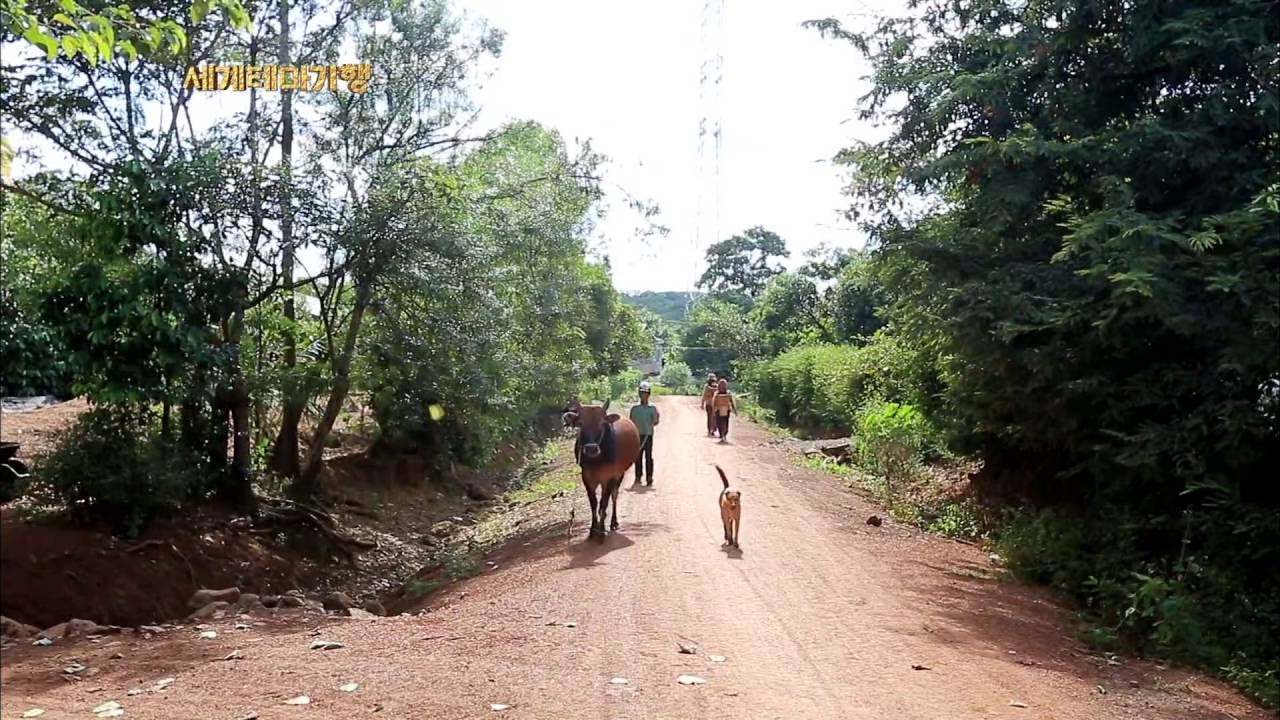 세계테마기행 - 천 개의 얼굴, 베트남 1부 구름 위를 걷다, 쯔엉선 산맥