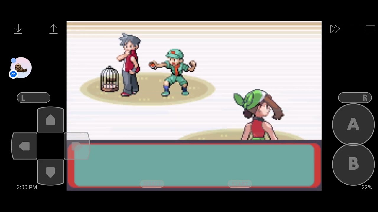 Vs Winona's Gym (it took insane RNG)