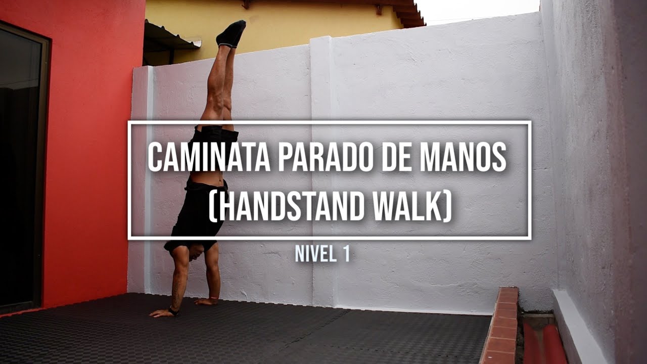Como hacer CAMINATA PARADO DE MANOS 🚀 RÁPIDO | 6 EJERCICIOS BÁSICOS PARA PRINCIPIANTES nivel #1